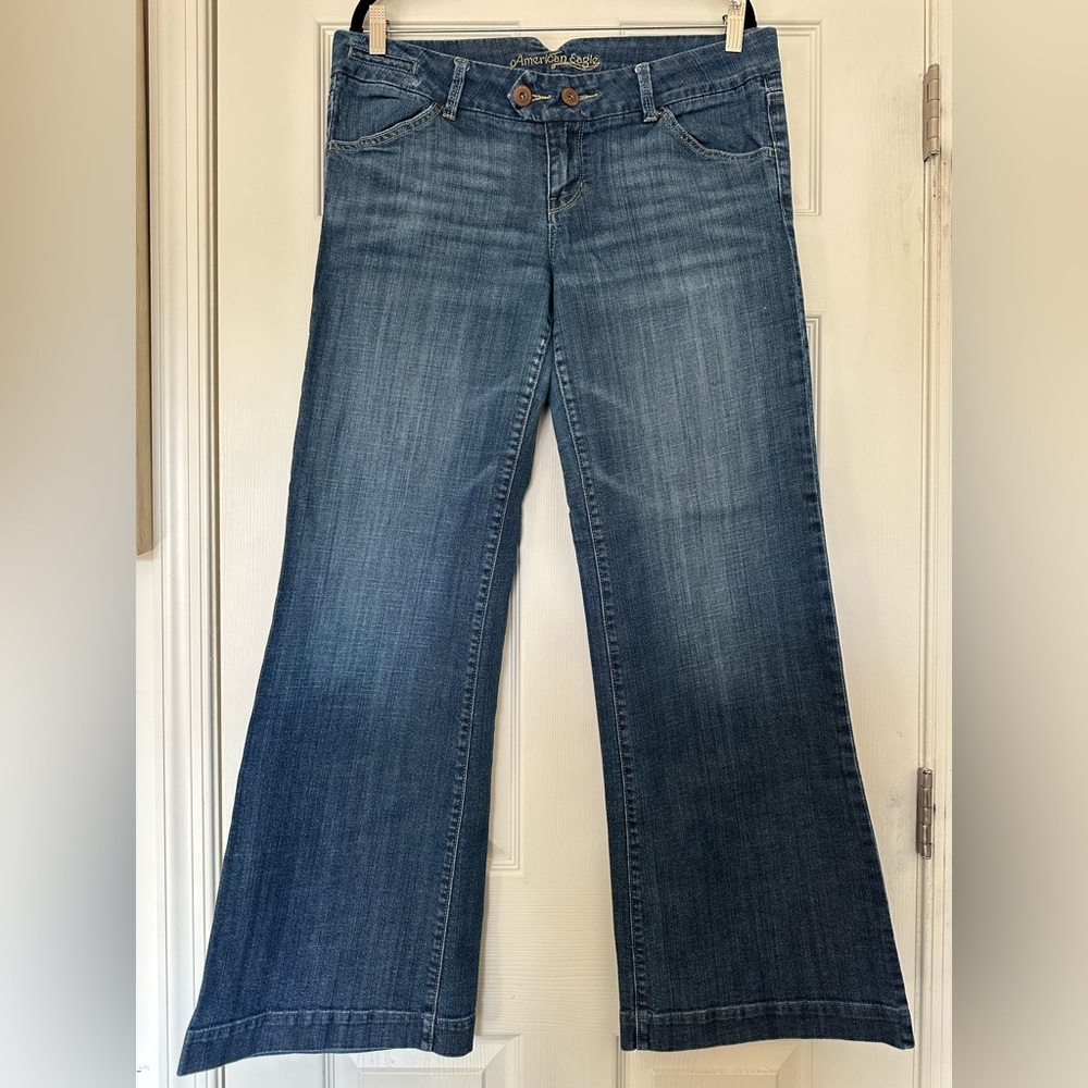 American Eagle Outfitters Vintage Classic Blue Jeans Perfect Fit Size 14